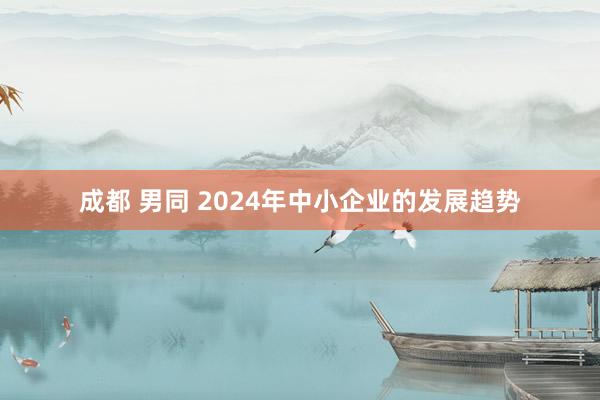 成都 男同 2024年中小企业的发展趋势